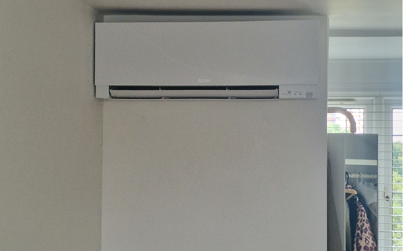 Domestic 4